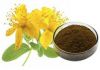 Hypericum Perforatum P...