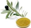 Olive Leaf Extract Ole...