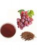 grape seed extract