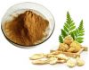 Maca extract