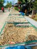 Dried Sea Cucumber 447549837432