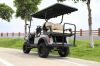 Electric 4 Seater Golf Cart/Buggy lifted