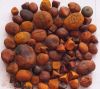 Ox Gallstone for sale