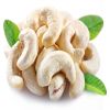 PROCESS CASHEW NUTS W18, W240, W320 AND W450