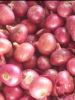 EXPORT-QUALITY FRESH RED ONION FOR SALE