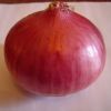 EXPORT-QUALITY FRESH RED ONION FOR SALE