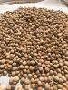 HIGH-QUALITY PIGEON PEAS AVILABLE FOR SALE