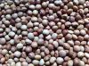 HIGH-QUALITY PIGEON PEAS AVILABLE FOR SALE