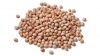 HIGH-QUALITY PIGEON PEAS AVILABLE FOR SALE