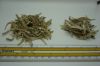 DRIED ANCHOVY FISH