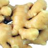 Premium Fresh Ginger H...