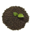 Advanced DAP Fertilize...