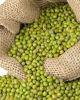 green mung beans