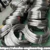 Alloy GH4648