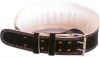Weight Lifting Belt