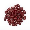 Wholesale Bulk Natural Red kidney Beans / Dark Red Kidney Beans Long Shape Kidney Beans