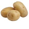 High Quality Cheap Price fresh potato export wholesale price