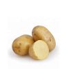 High Quality Cheap Price fresh potato export wholesale price