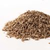 Direct Factory Price Natural Cumin Seeds Single Spices &amp; Herbs Cumin Seeds