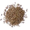 Direct Factory Price Natural Cumin Seeds Single Spices &amp; Herbs Cumin Seeds