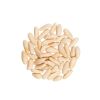 Top Quality Pine Nuts Kernels Free Sample Available Pine Nuts