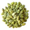 Natural Green Pumpkin Seeds High Quality Pumpkin Seeds