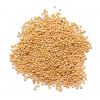 Yellow Hot Yellow Mustard Seed Wholesale Price Yellow Mustard Seeds Price