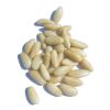quality organic kernel...