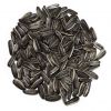 High Class Crop Sunflower Seeds Wholesale Different Type Raw Black Sunflower Kernel With Cheap Price