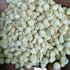 Whole Dried Corn Kernels WHITE MAIZE Non GMO