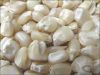 Whole Dried Corn Kernels WHITE MAIZE Non GMO