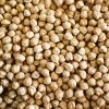 Chickpeas KABULI Dried Raw 7mm 8mm 9mm Chickpeas For Sale