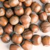 100% natural hazel nuts and ripe hazelnuts without husks