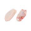 Buy Wholesale Frozen Chicken Wings for Sale at cheap price