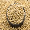  Quality NON-GMO Soya Beans