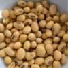  Quality NON-GMO Soya Beans