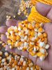 Best Grade White Corn Maize For Animal Feed White Maize..