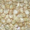 Best Grade White Corn Maize For Animal Feed White Maize..