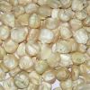 Top Selling White Maize Corn Yellow Maize Export Quality Stock Available