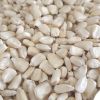 Best Grade White Corn Maize For Animal Feed White Maize..