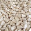 Top Selling White Maize Corn Yellow Maize Export Quality Stock Available