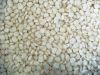 Top Selling White Maize Corn Yellow Maize Export Quality Stock Available