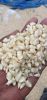 Organic White Maize Corn - Perfectly Suited for High-Quality Food Products