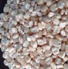 GRADE 1 Non GMO White and Yellow Corn/Maize