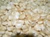 White Maize, Dried Yellow Corn / White Maize, Dried Yellow Corn