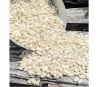 White Maize, Dried Yellow Corn / White Maize, Dried Yellow Corn