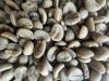 Freshly Roasted Arabica Coffee Beans - Best quality