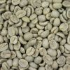 Coffee Beans (Robusta, Excelsa, Liberica and Arabica