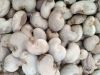 Cashew Nut Raw Bulk Cashews Raw Cashew Nuts Prices Offered Dried Fruits Nuts