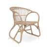 Arm Chair Rattan Furniture